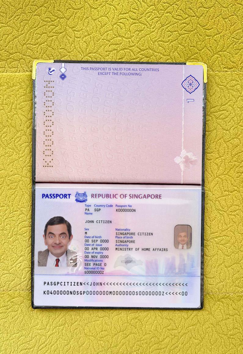 Download Singapore new passport (2017+)  photo look Photoshop template
